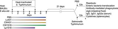 Probiotic Bacteria and Their Cell Walls Induce Th1-Type Immunity Against Salmonella Typhimurium Challenge